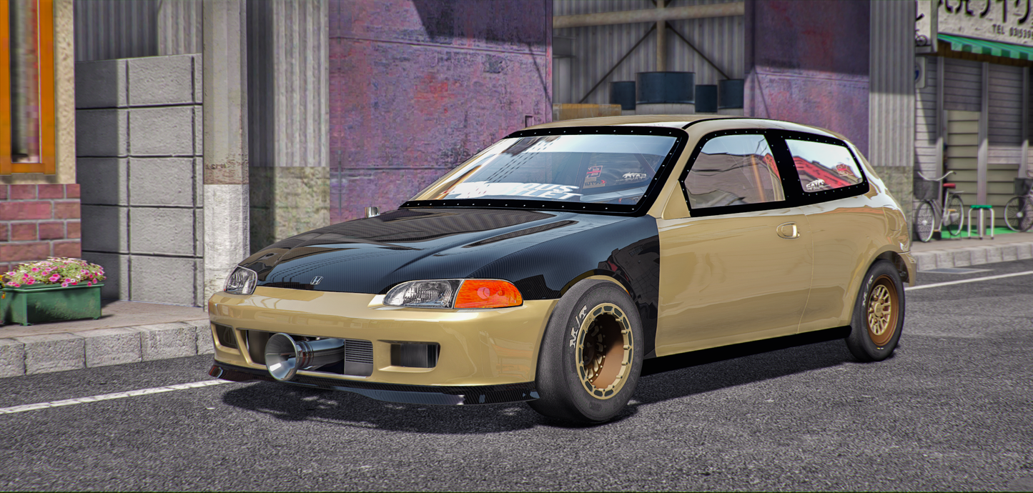 Honda Civic EG6 AMN20 | Pers