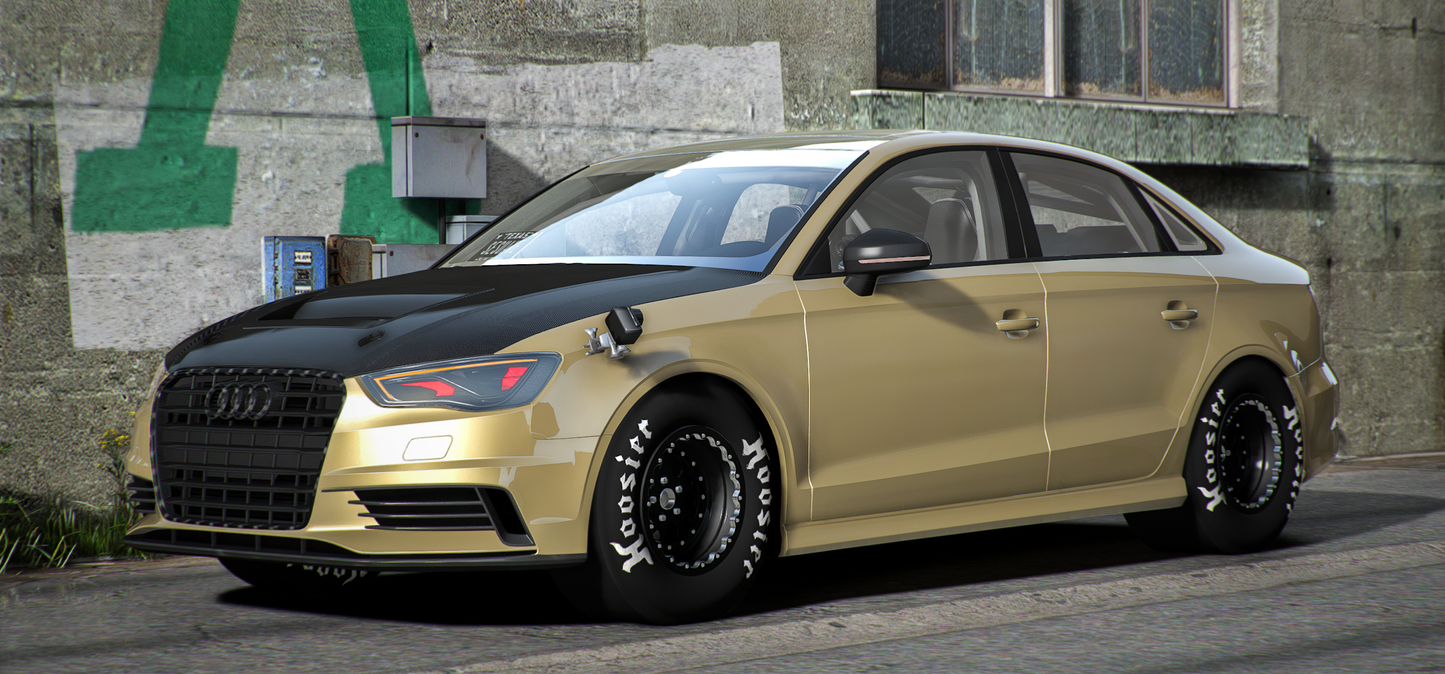 Audi RS3 1Stk Gay | Pers