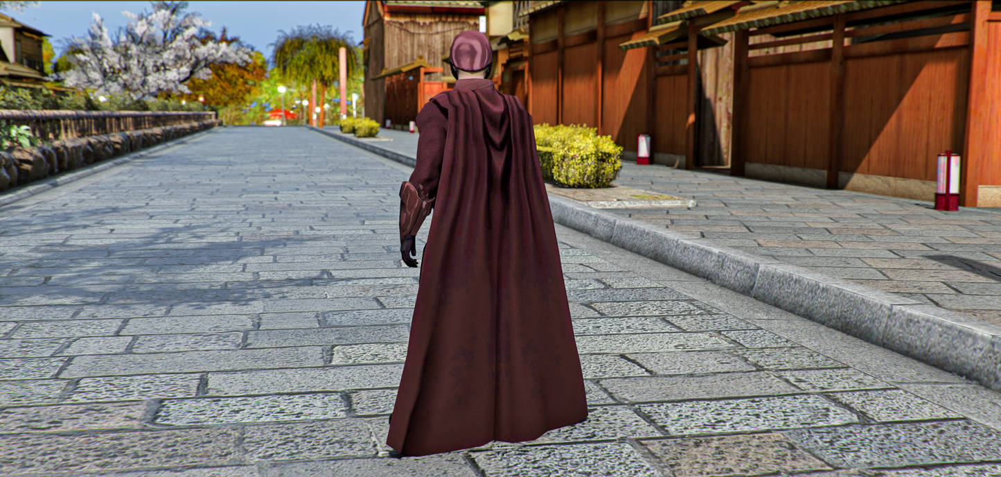 Magneto (Days of Future Past and Sentinels)