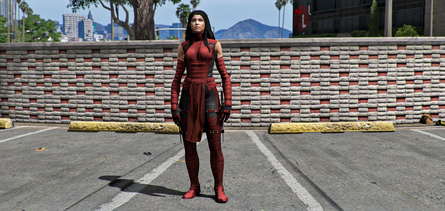 Elektra MCU Pack (Black,Red Outfit)