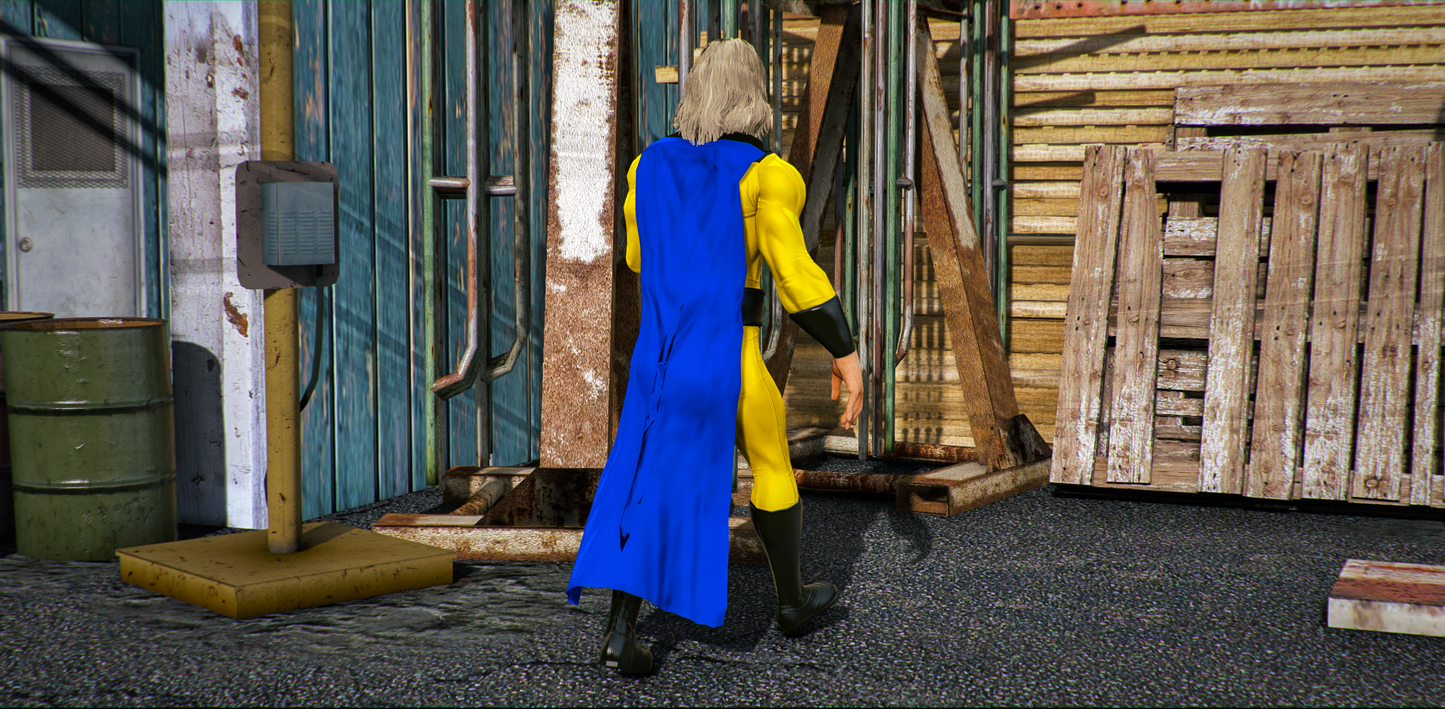 The Sentry