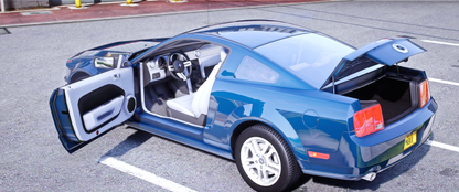 (Debadged) 2005 Ford Mustang GT | Raz3r blad3
