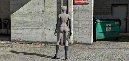 Catwoman (The Batman Animated Series)