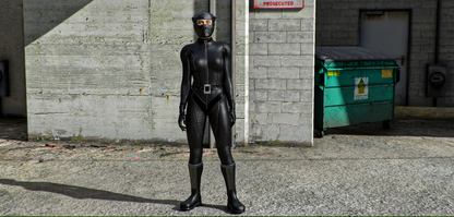 Catwoman - The Batman(2022)