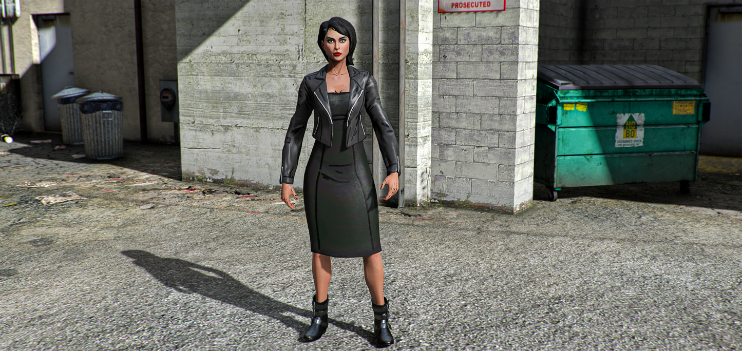 Selina Kyle Dress