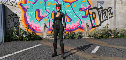 CatwomanThe Perfect Thief Collection (First Night)