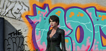 CatwomanThe Perfect Thief Collection (First Night)