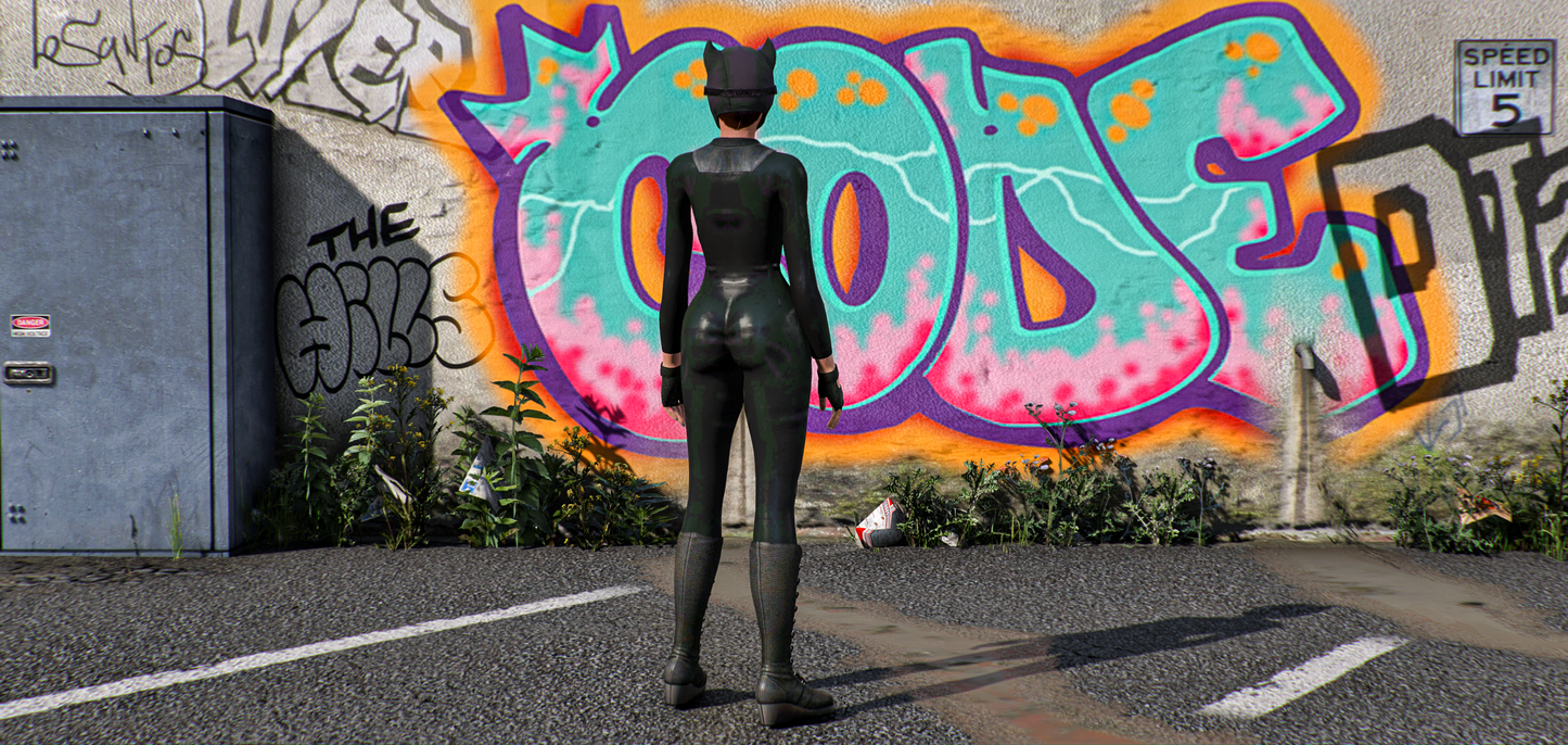 CatwomanThe Perfect Thief Collection (First Night)