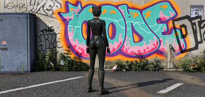 CatwomanThe Perfect Thief Collection (First Night)