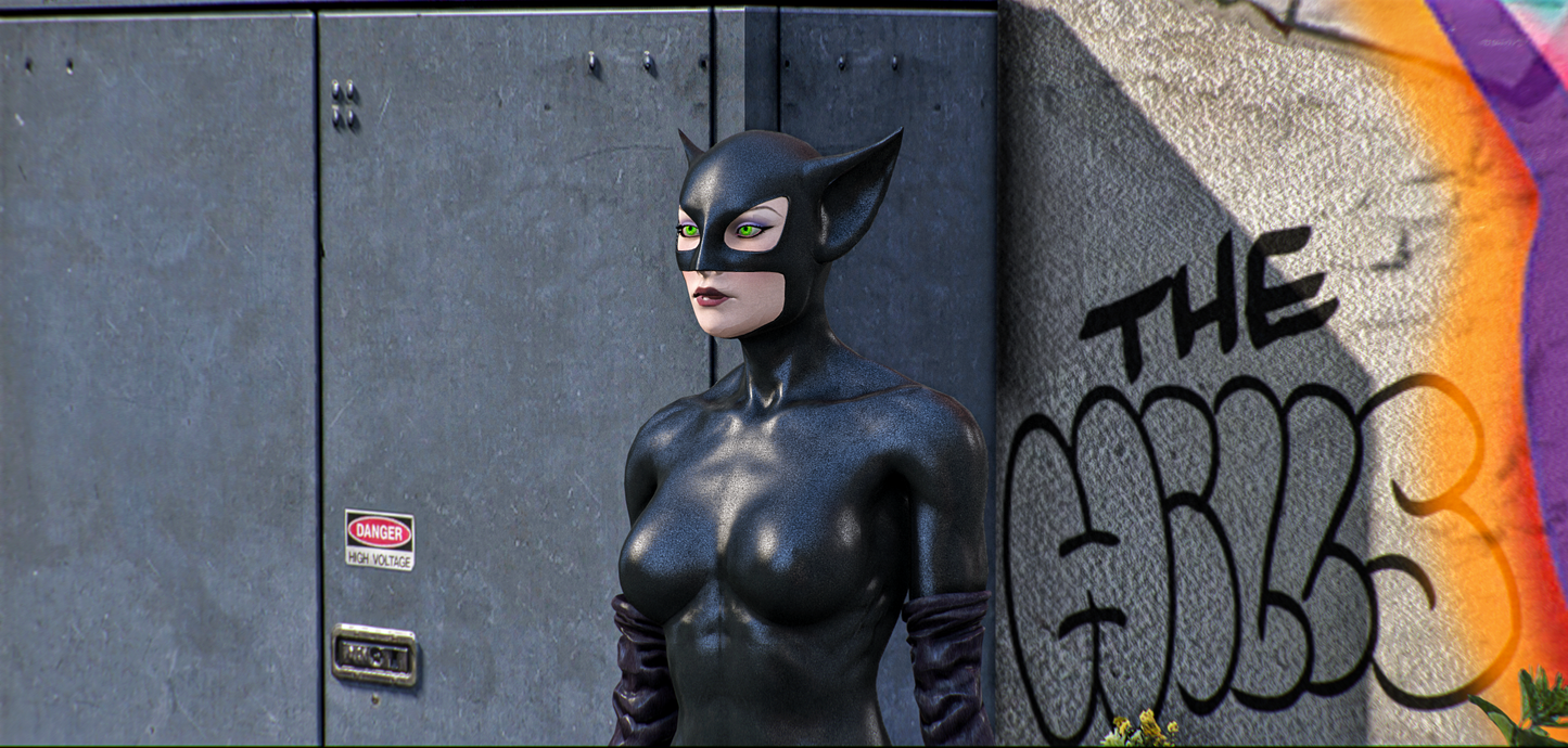 Catwoman Long Halloween