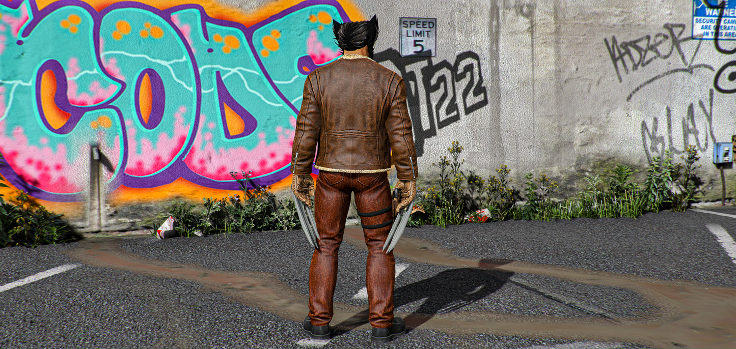 Wolverine Days Of Future Past (Comics Version)