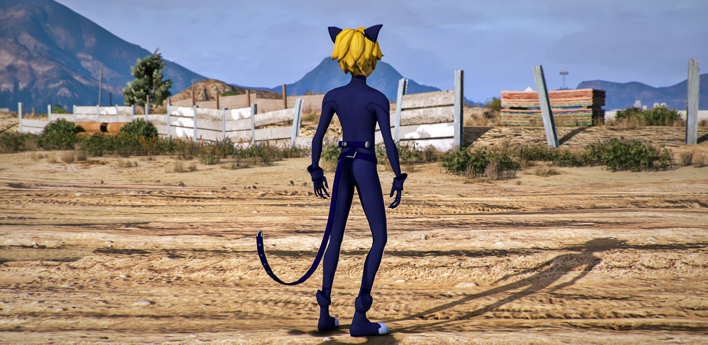 Adrien Agreste (Miraculous: Tales of Ladybug & Cat Noir)