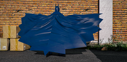 Batman (Long Halloween)