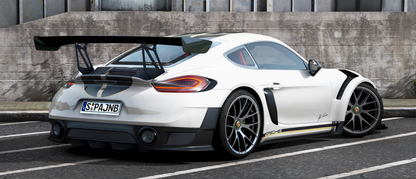 Porsche Cayman 981 BFR | Zhiyu Max