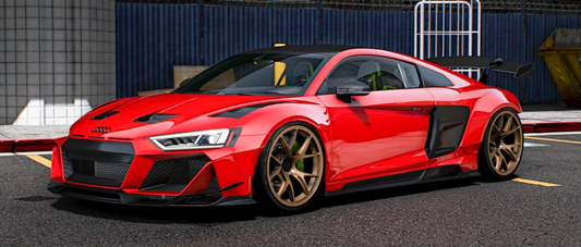 Audi R8 Darwin Pro | Nejcs Garage