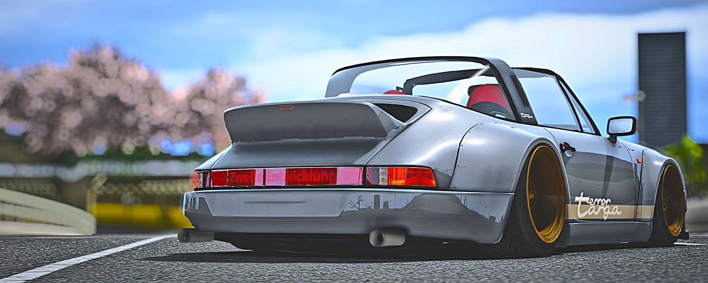 Porsche 911 RWB Terror Targa | Hachi